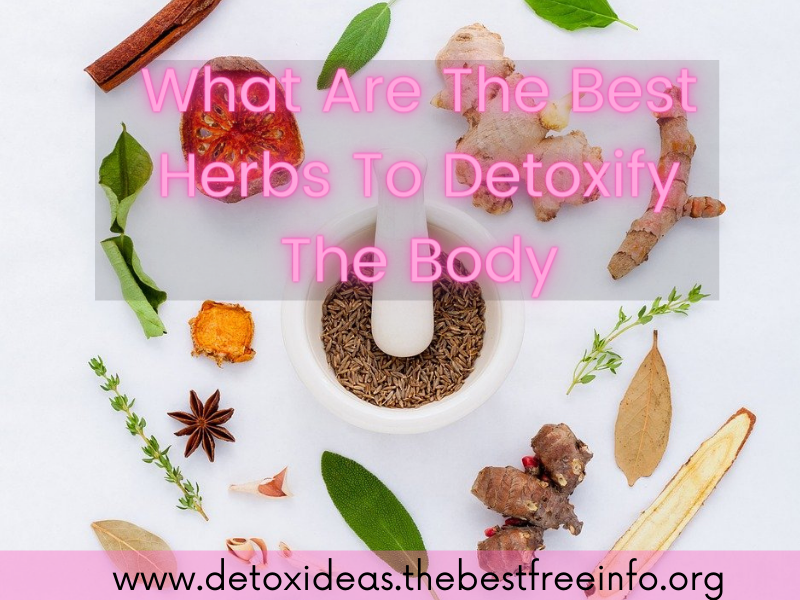 Best Herbs That Detoxify The Body