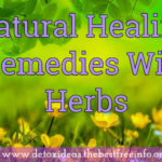 Best Healing Remedies With Herbs