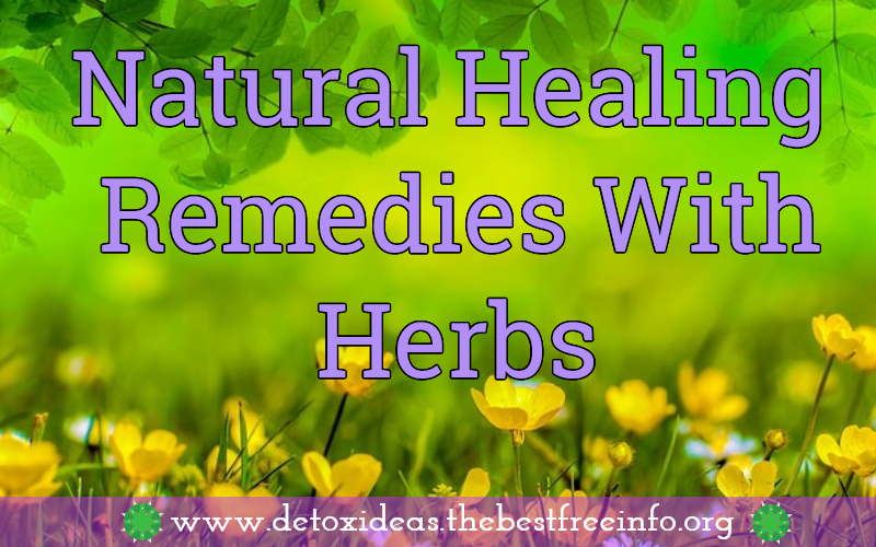 Best Healing Remedies With Herbs