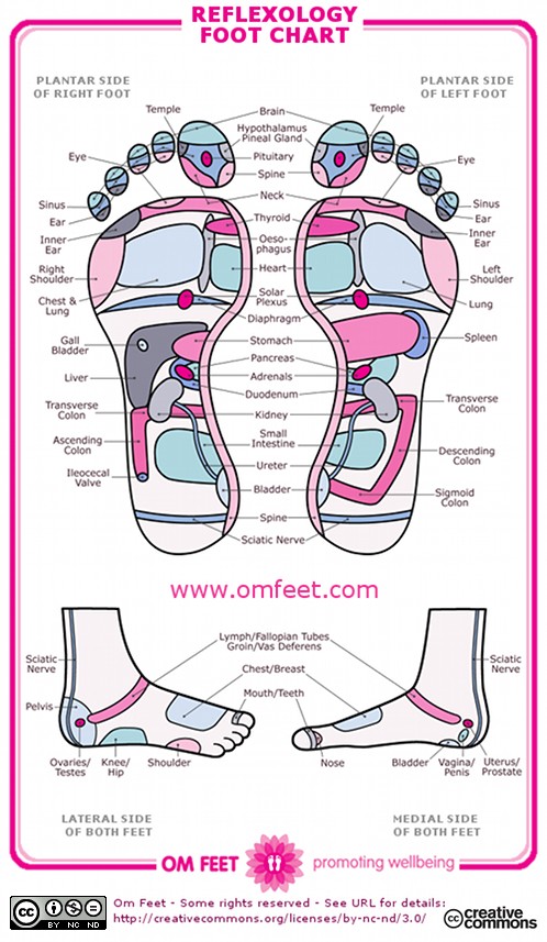 reflexology-foot-chart
