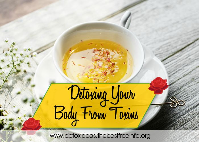 Detoxing Your Body From Toxins
