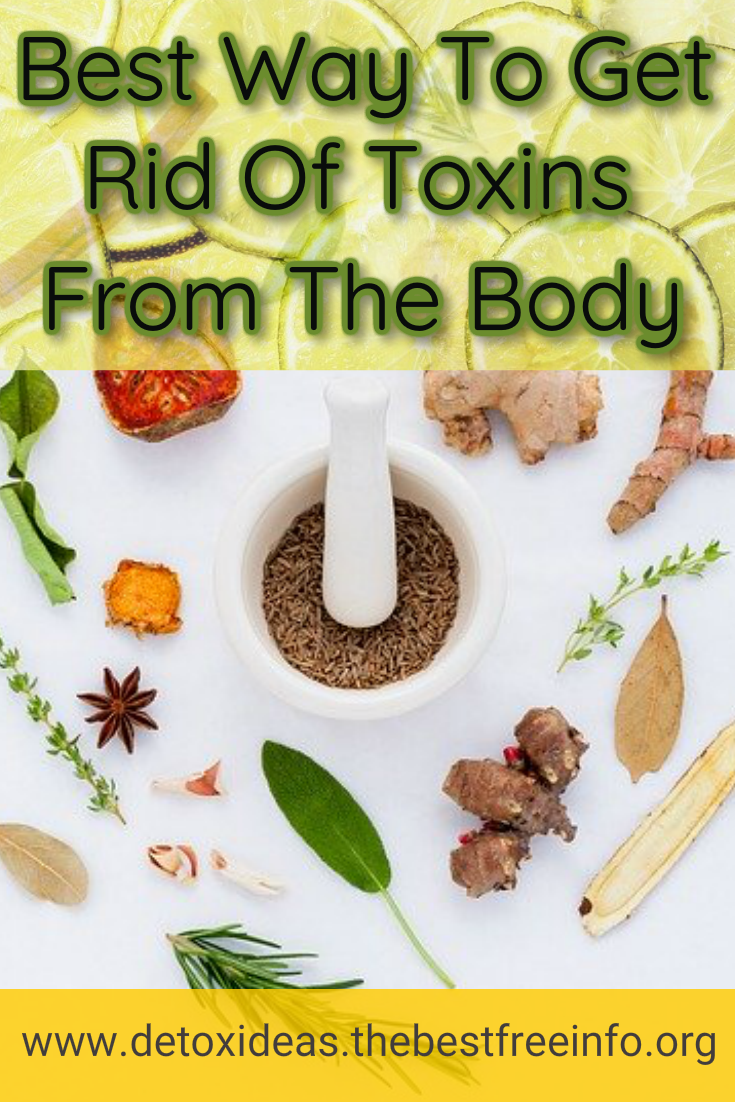 Best Way To Detox Your Body Of Toxins